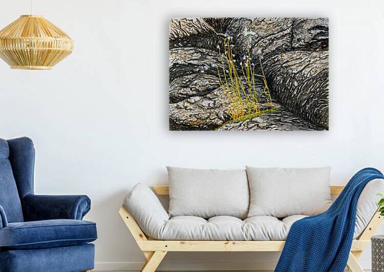 Grass and Rock Painting by Stephen Emms