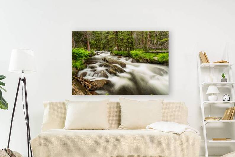 Roosevelt National Forest Stream by Bo Insogna