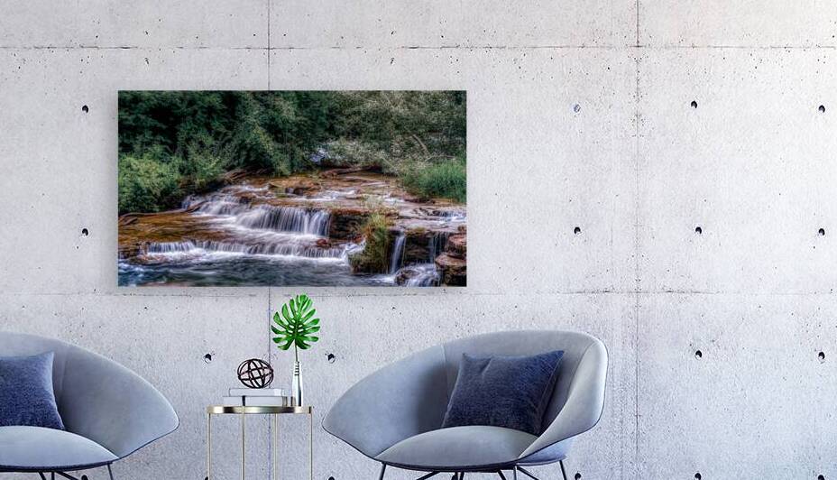 Tranquil Cascades: A Quaint Ducks Tale Upstream from Niagara Falls by Dream World Images