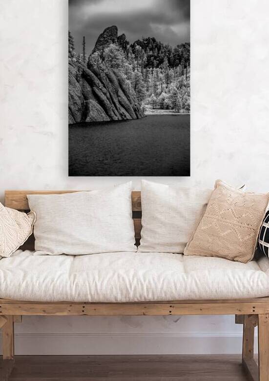 Sylvan Serenity: A Monochrome Tale of Natures Harmony in Custer  by Dream World Images