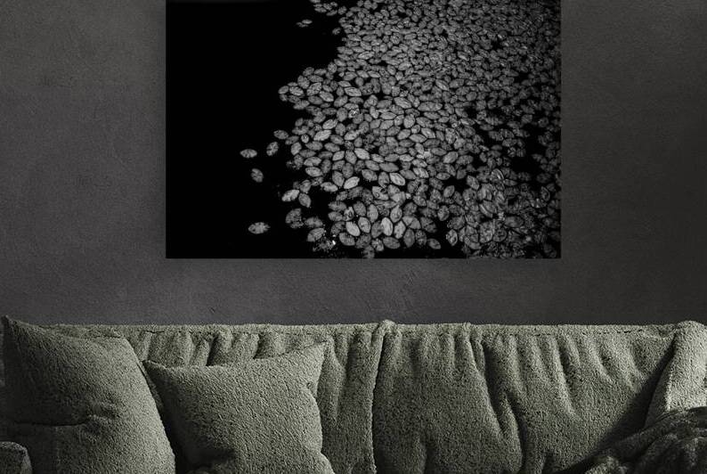 Lily Pad Dance by Dream World Images