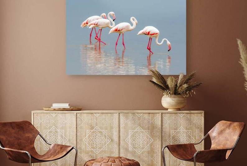 Amboseli Flamingos by Dan Hart