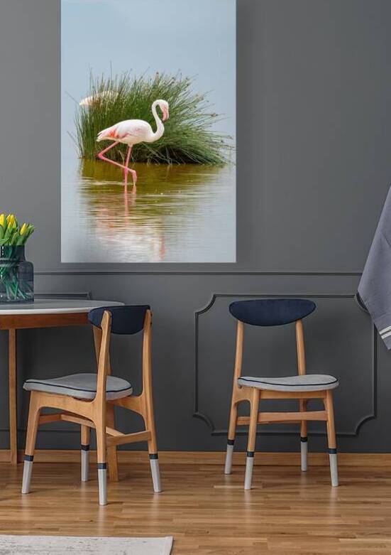 Amboseli Flamingo by Dan Hart