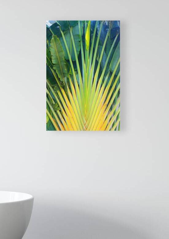 Tropical Jamaican Leaves by Timeless Scenery Photography