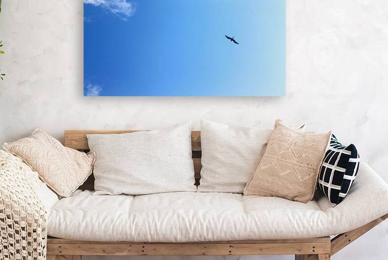 Soaring High in Jamaica by Timeless Scenery Photography