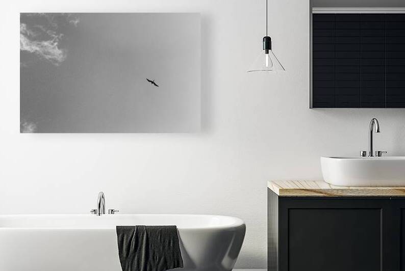 Soaring High in Jamaica B&W by Timeless Scenery Photography