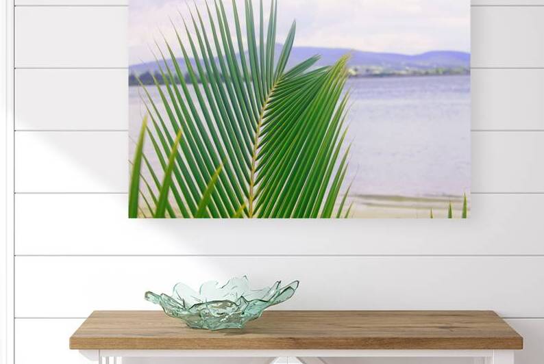 Leaf in Jamaica by Timeless Scenery Photography