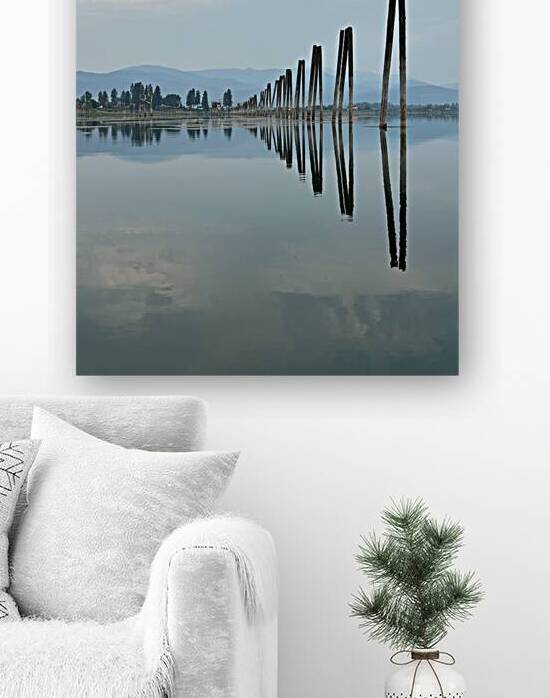 Mirrored Poles 2 by Shane J Stewart