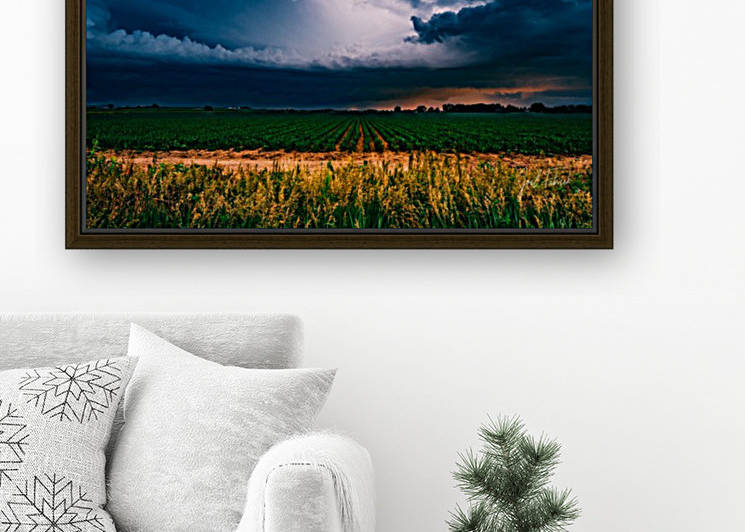 Prairie Lightning by Joel Fabrick