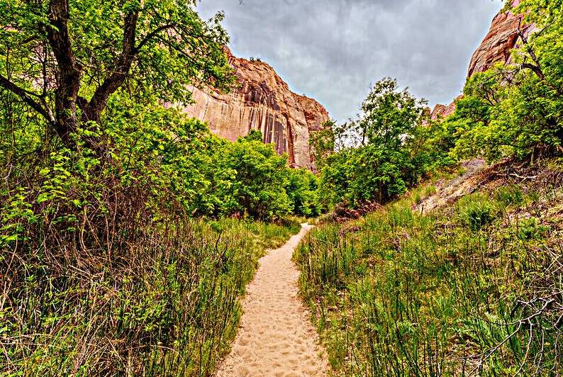 Lower Calf Hiking Trail Boulder Utah by Jennifer White
