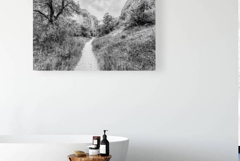 Lower Calf Hiking Trail Boulder Utah Grayscale by Jennifer White