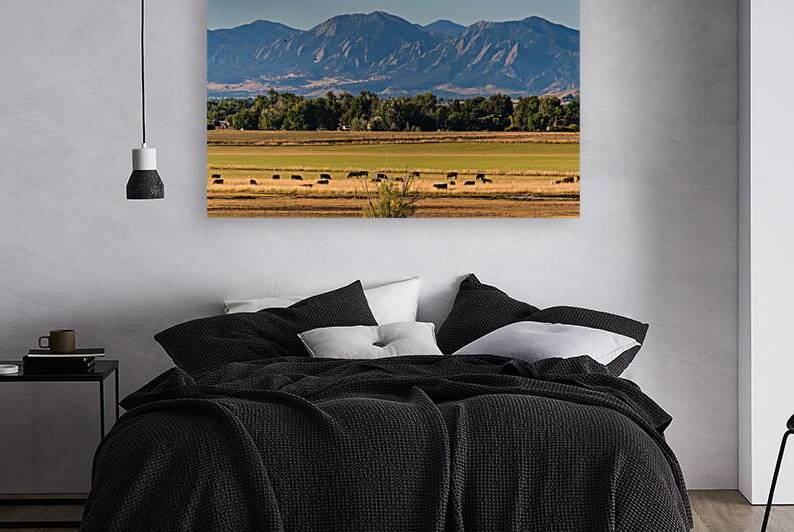 Boulder Flatirons and Cows by Bo Insogna