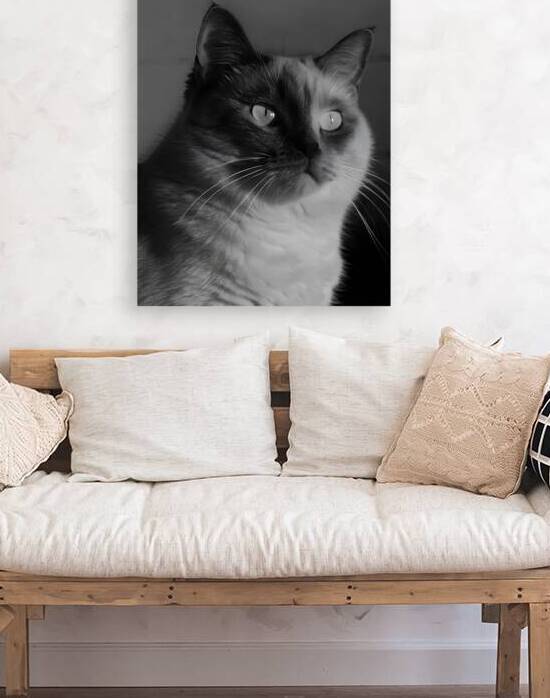 Monochrome Cat by Utaamodern