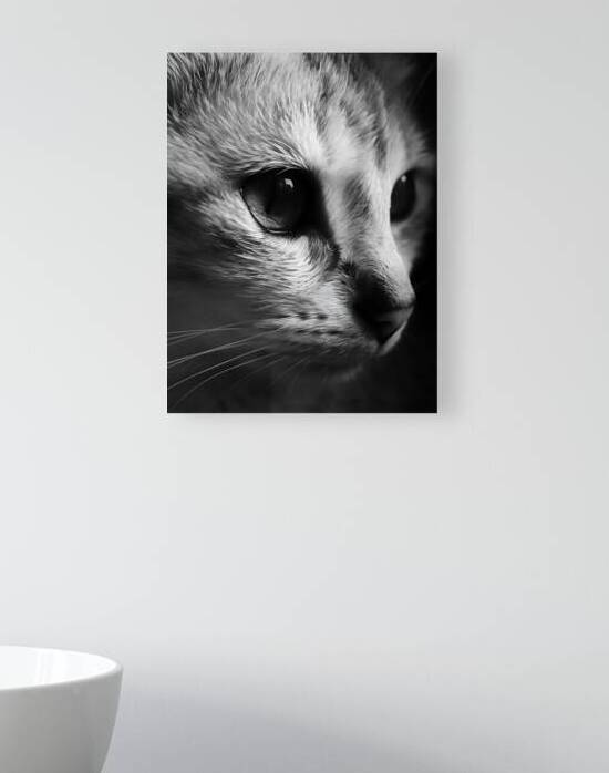 Monochrome Cat  by Utaamodern