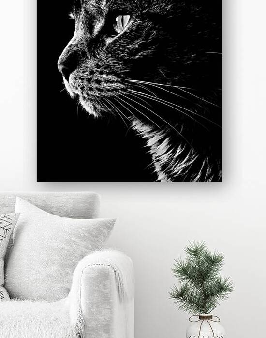 Monochrome Cat  by Utaamodern