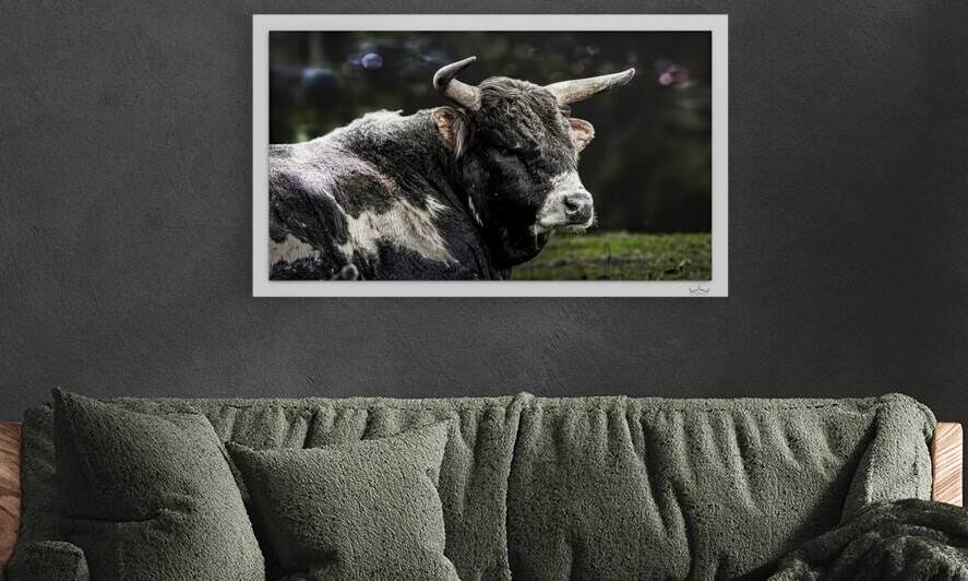 No Bull by Moments By Shane