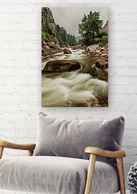 South St Vrain Canyon Portrait Boulder County Colorado by Bo Insogna