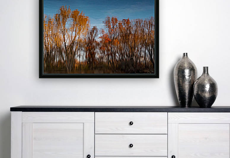 Foliage Reflection 1 by Dave Therrien