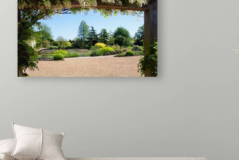 Wisteria View by Gill Billington