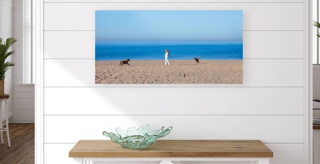 Woman and Dogs by Mark Schacter