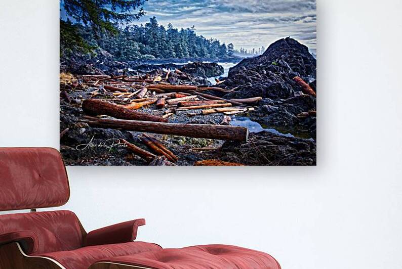 WEST COAST TRAIL by Allan de la Plante