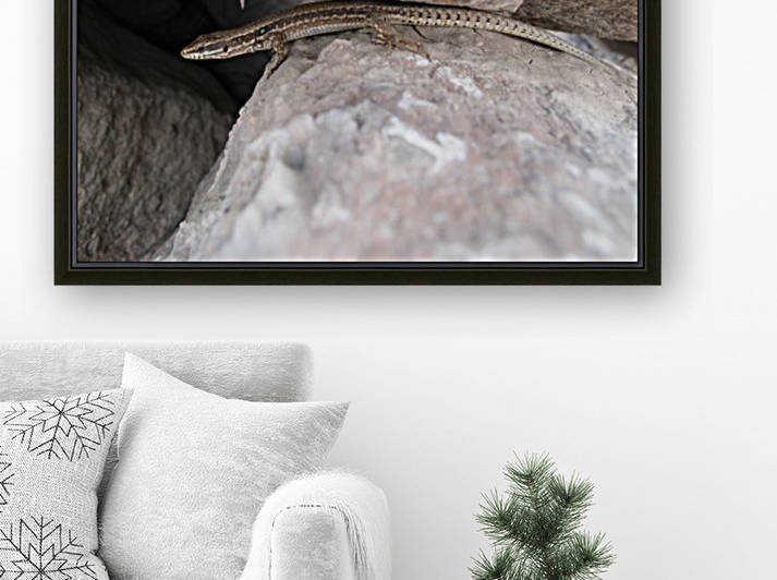 A.P.Polo - Pyrenees by A P Polo