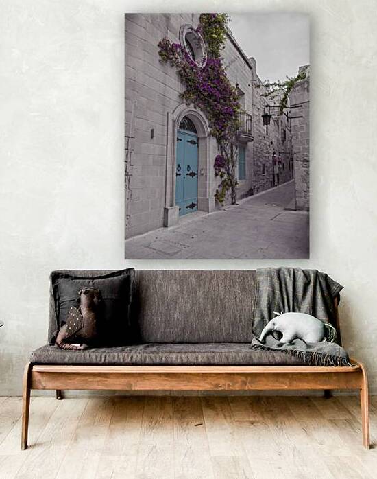 Traditional houses on narrow lanes of Mdina Malta by Assaf Frank