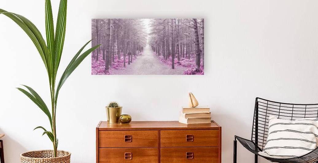 Autumn Brilliance by Assaf Frank