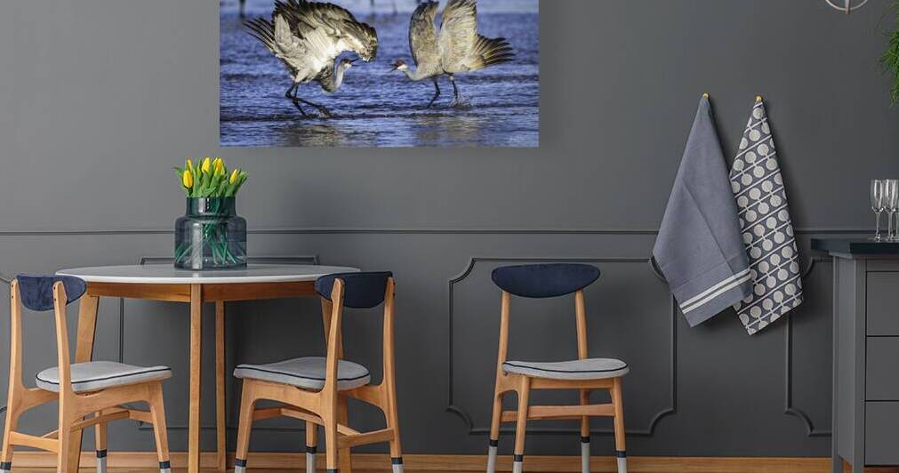 RIVER DANCING AND BOWING CRANES by Carney Photography