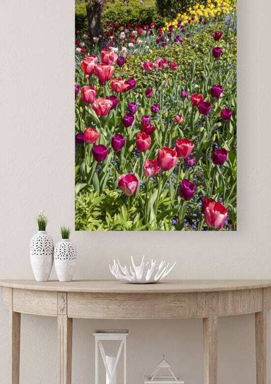 Tulip Hill by Evan Petty Photography