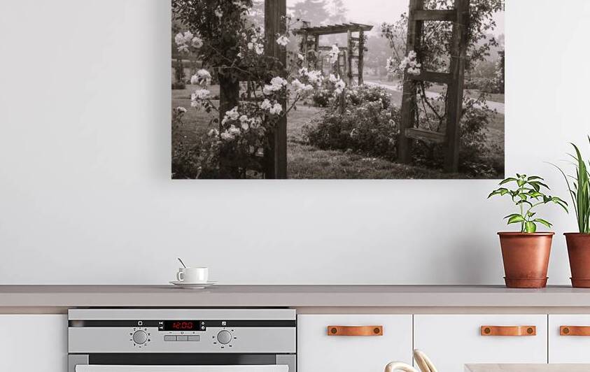 Allentown Rose Gardens Roses and Arbors by Jason Fink