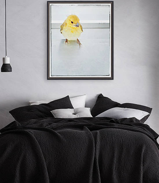 Yellow Bird by Ricky A Richardson 