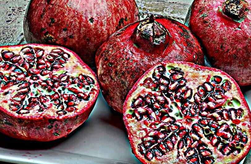 HEART OF THE HARVEST by Paul Edward Phillips