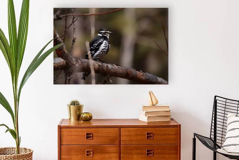 Speckled Sentinel by Vythryd Arts