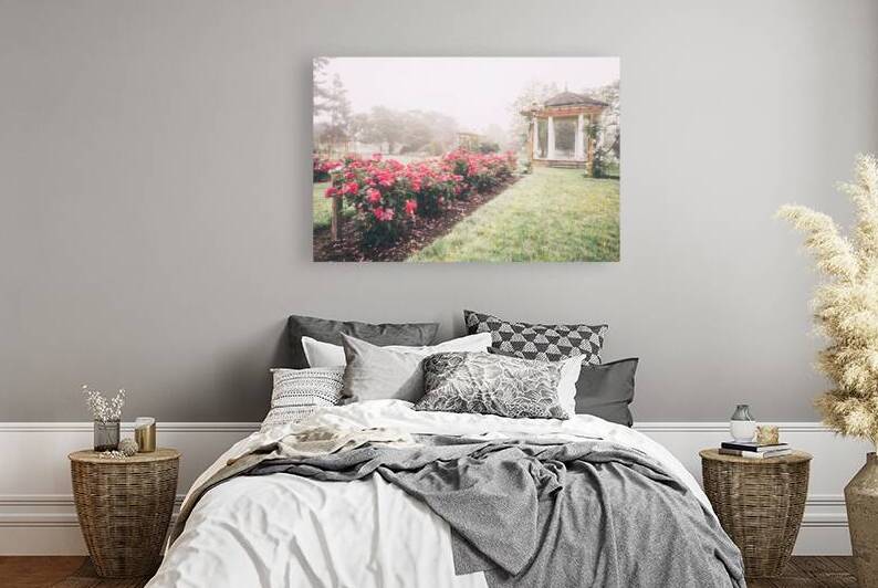 Allentown Rose Gardens   Roses Bushes and Gazebo by Jason Fink