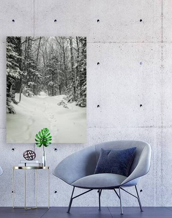 The Snow Path by Blaine Stoner