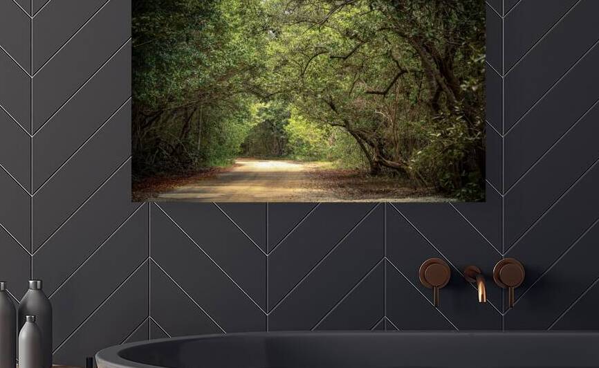 THE GREEN TUNNEL by JOPIZ