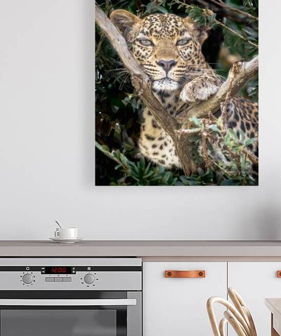 Doux Regard by Veronique Lefrancois