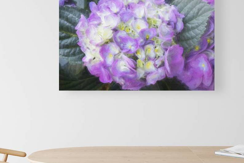 Hydrangea Macrophylla Blue Hydrangea X12 2 by Rich Franco