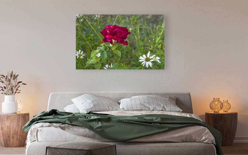 Comme une fin de journee de printemps by Lajuel