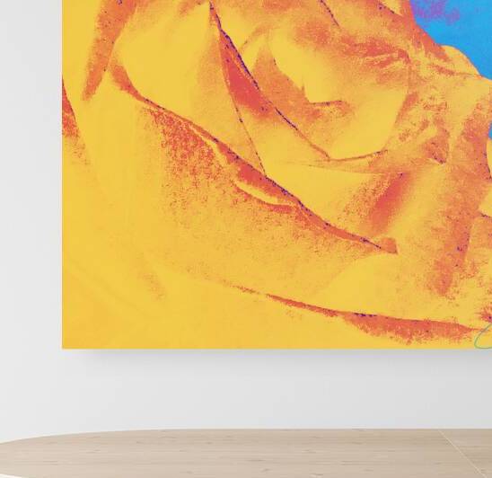 Abstract Vibrant Rose by Catriona Roberts Nature Photography and Designs