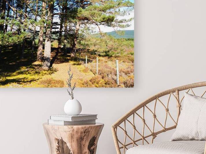  Scottish Highlands in the Spring                                                                                                                     by Catriona Roberts Nature Photography and Designs