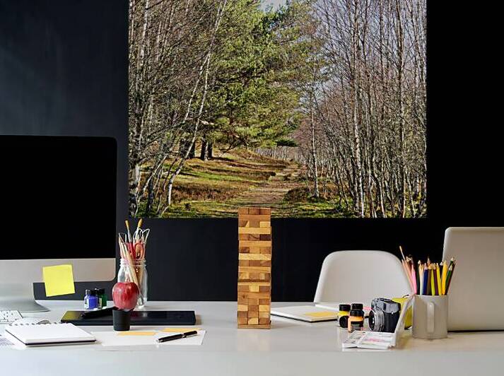 Springs Path Through the Scottish Highlands                                                                                                                      by Catriona Roberts Nature Photography and Designs