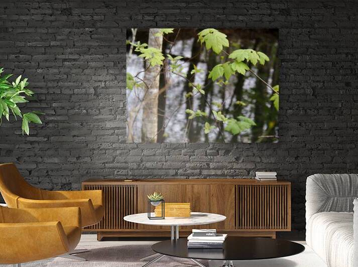   Scottish Highlands Leaves Reflections                                                                                                                     by Catriona Roberts Nature Photography and Designs