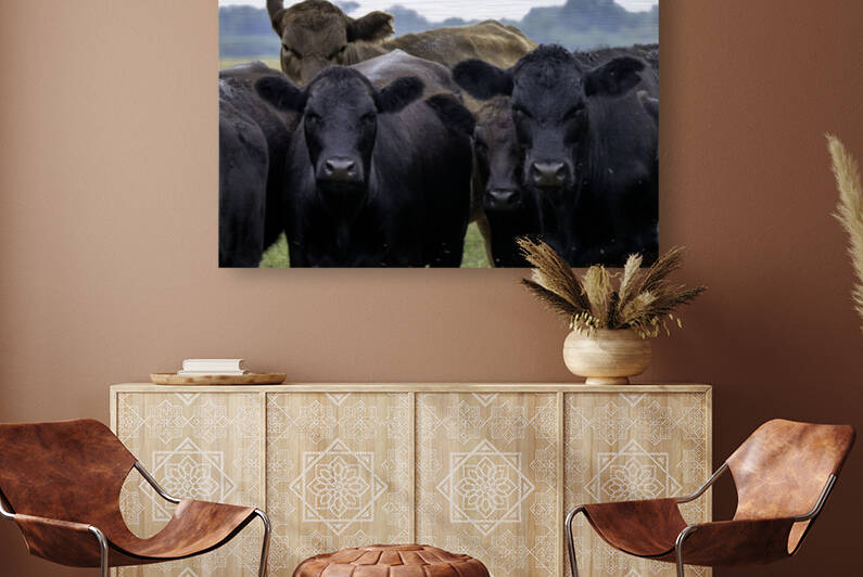 Beef by Joe Riederer