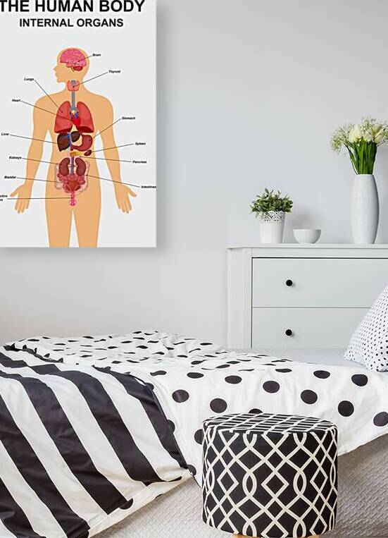 Internal organs of human body by Point Art