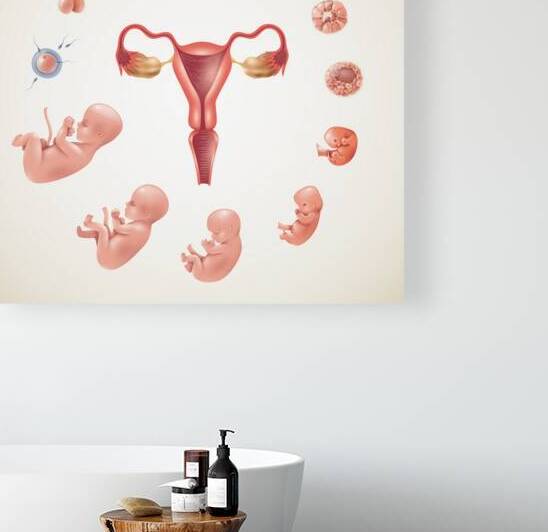 Human Fertilization cess by Point Art