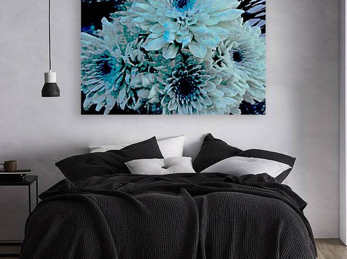 Blue Chrysanthemums  by Catriona Roberts Nature Photography and Designs