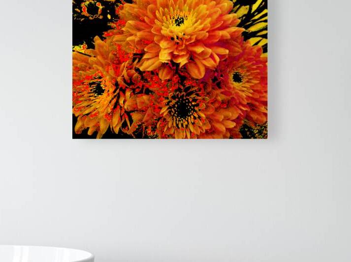 Abstract Orange and Yellow Chrysanthemums  by Catriona Roberts Nature Photography and Designs
