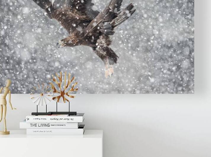 Gold Eagle in Flight by Luyi